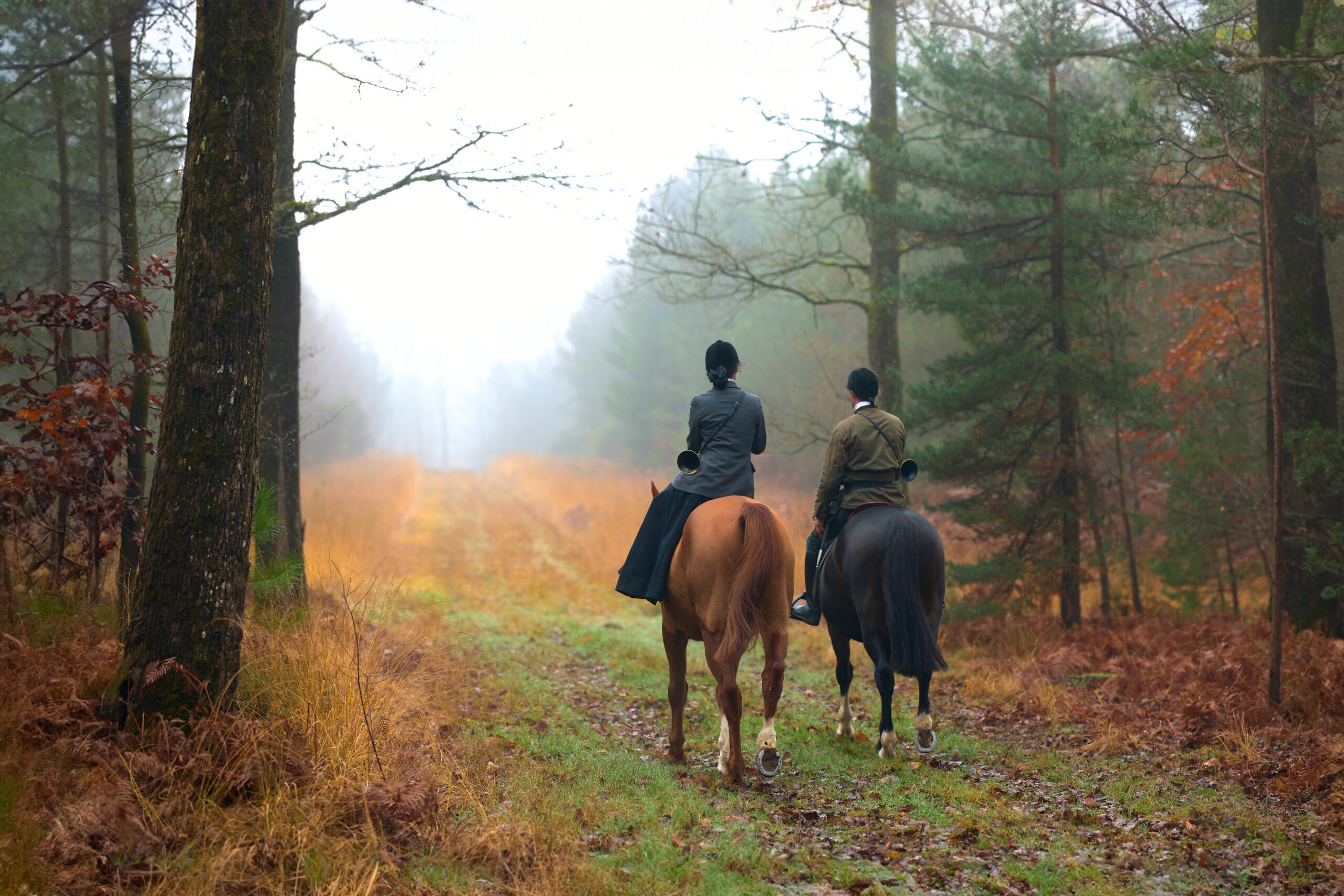 Tournage vidéo dans une forêt