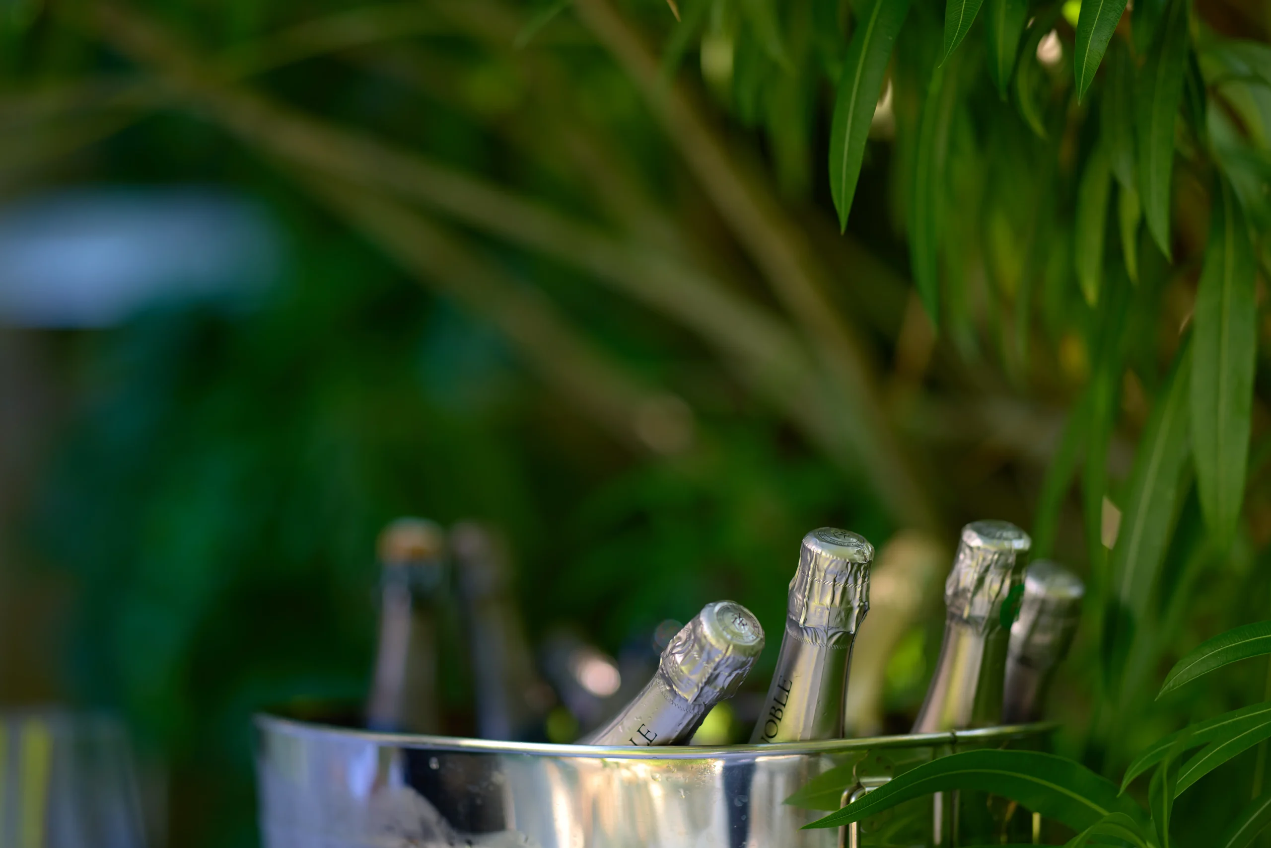 Arts culinaires - photographie 33