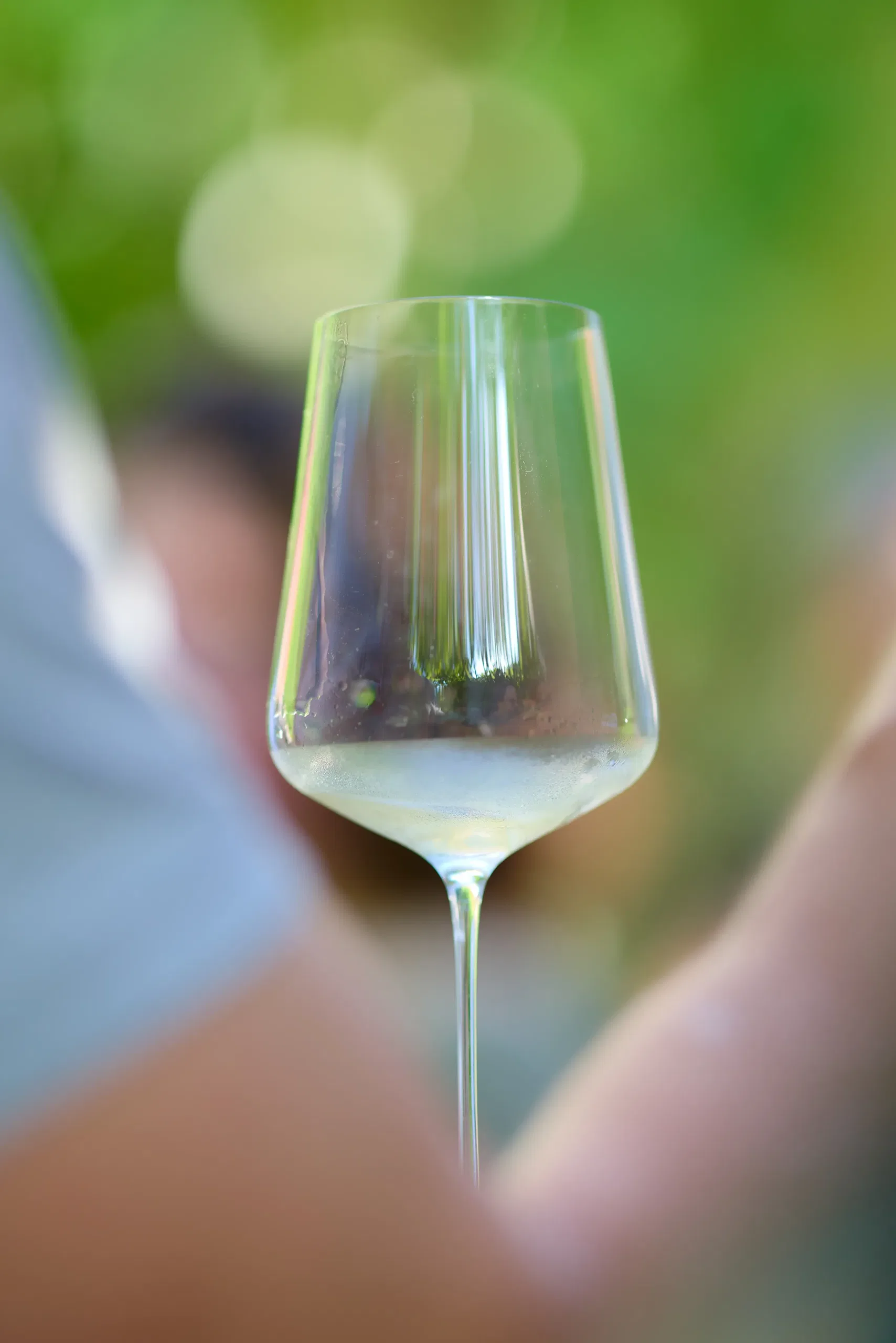 Vin & Spiritueux - photographie 13