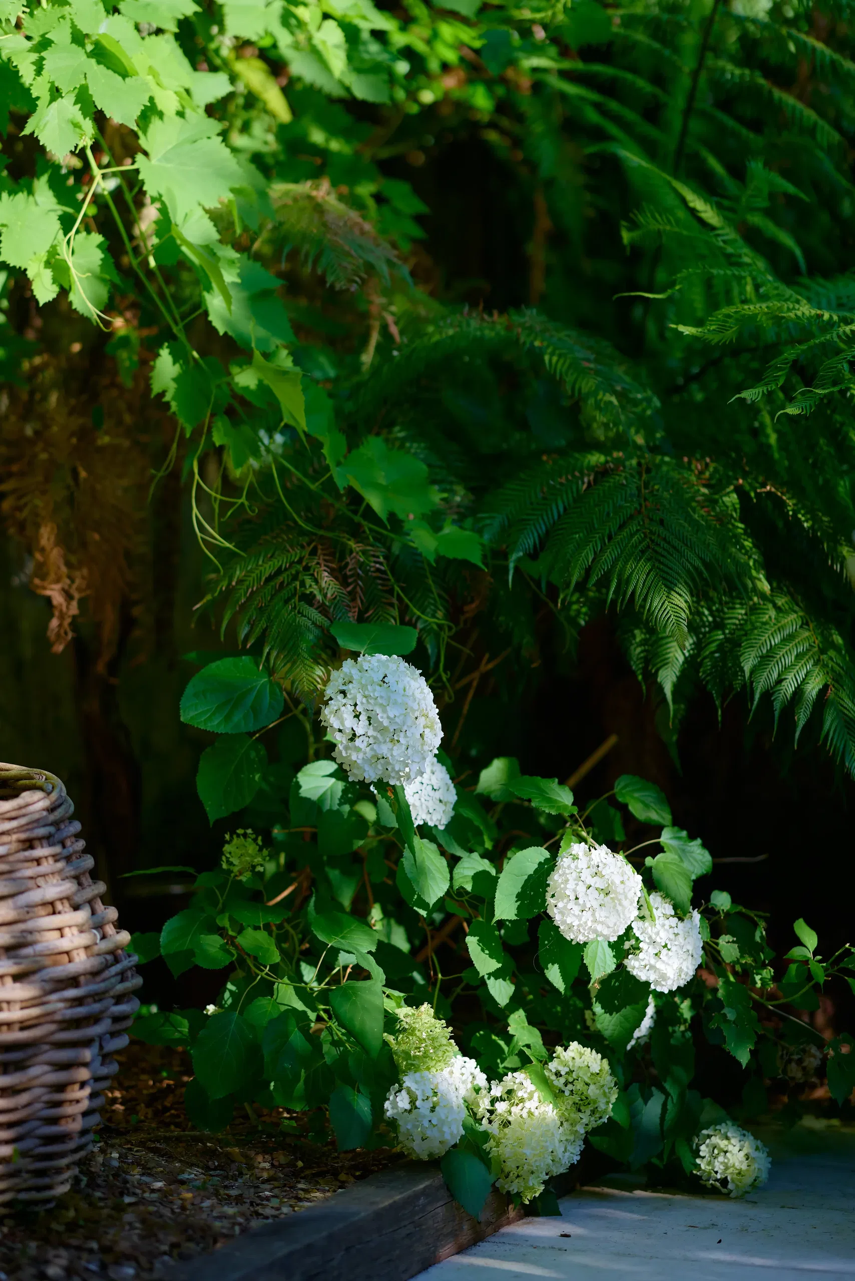 Vin & Spiritueux - photographie 14