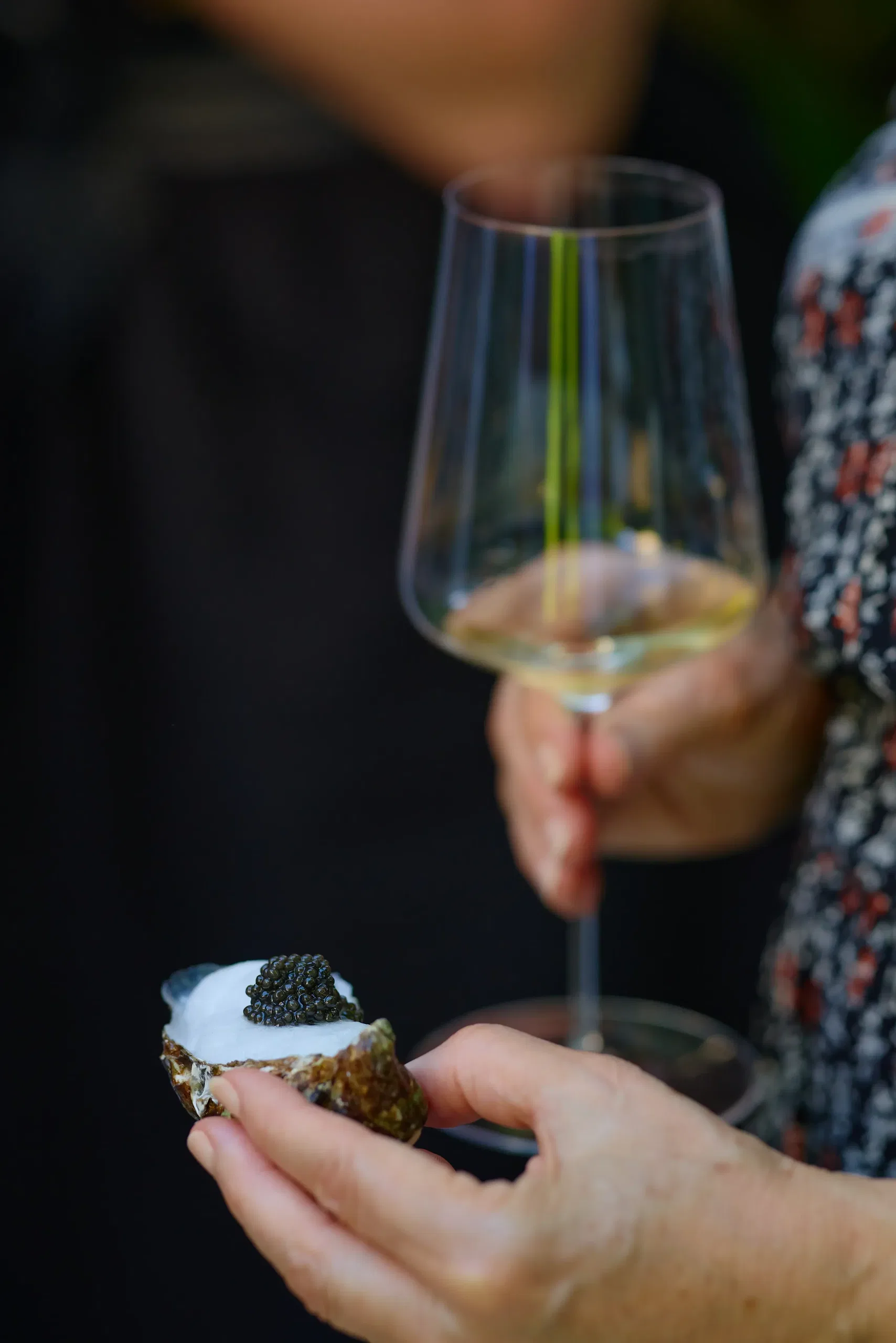 Vin & Spiritueux - photographie 18