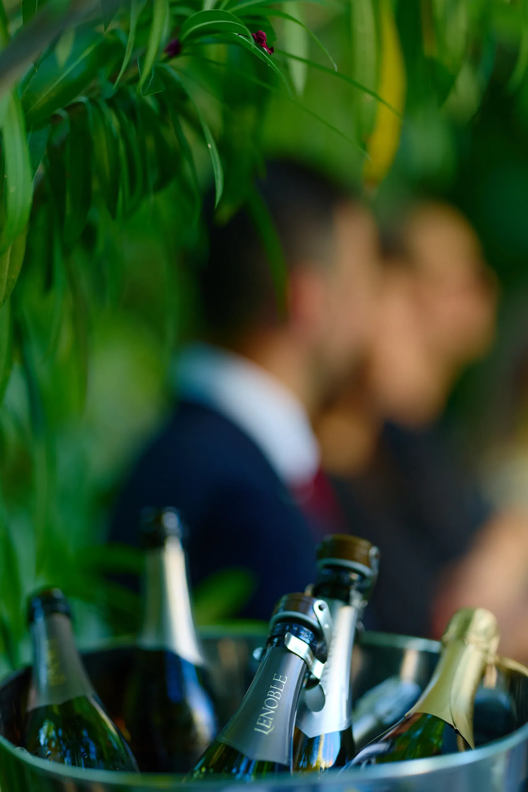 Vin & Spiritueux - photographie 29