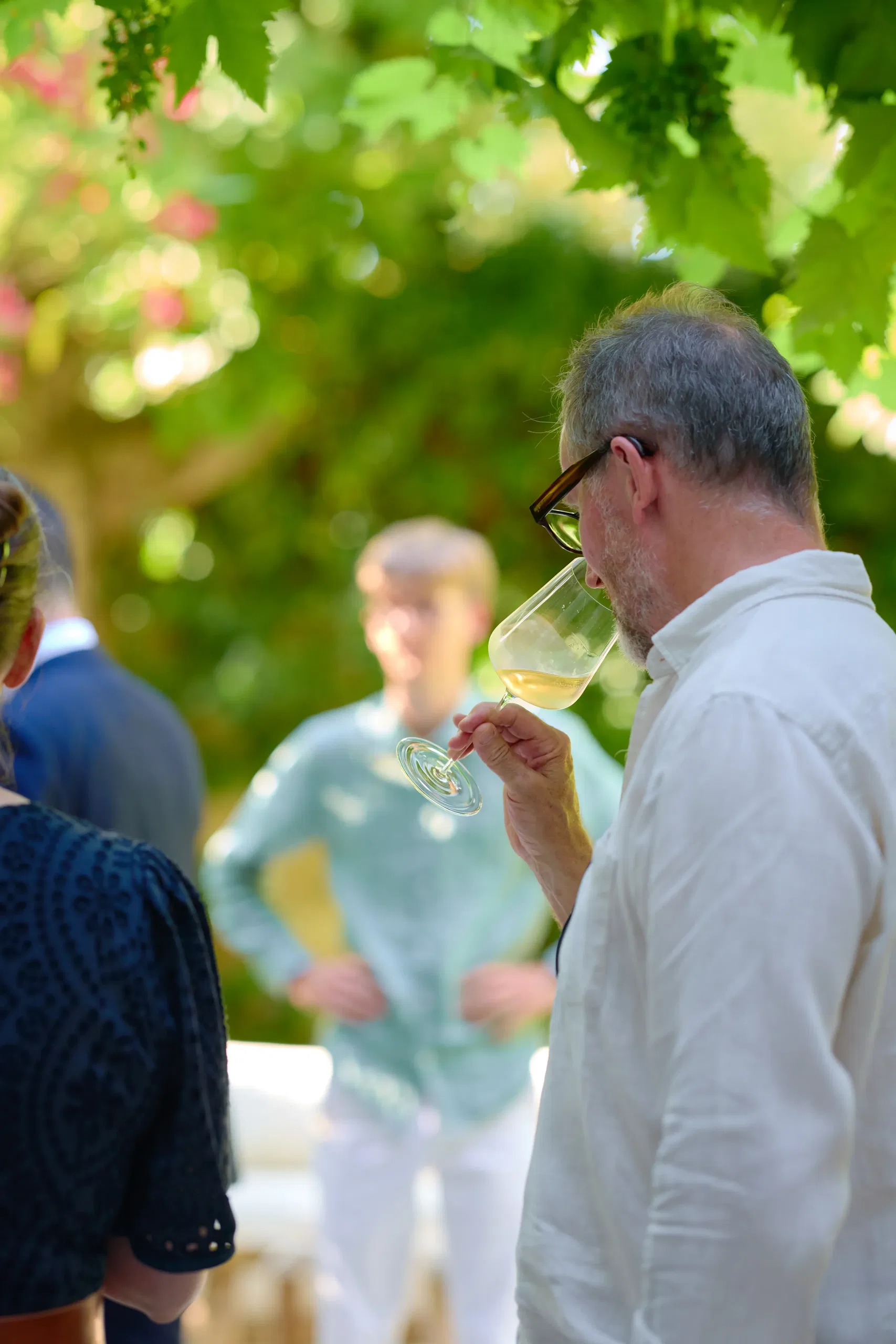 Vin & Spiritueux - photographie 4