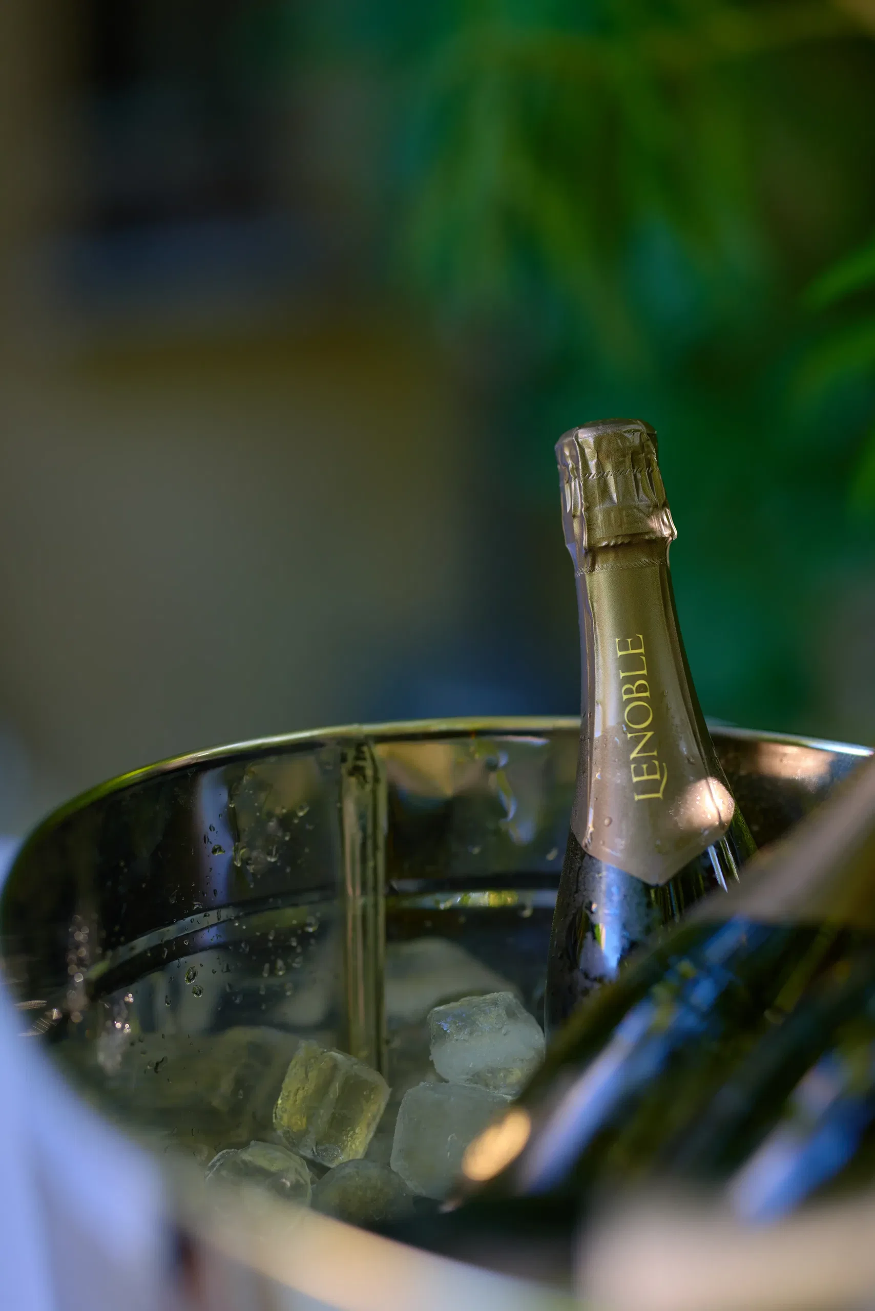 Vin & Spiritueux - photographie 8