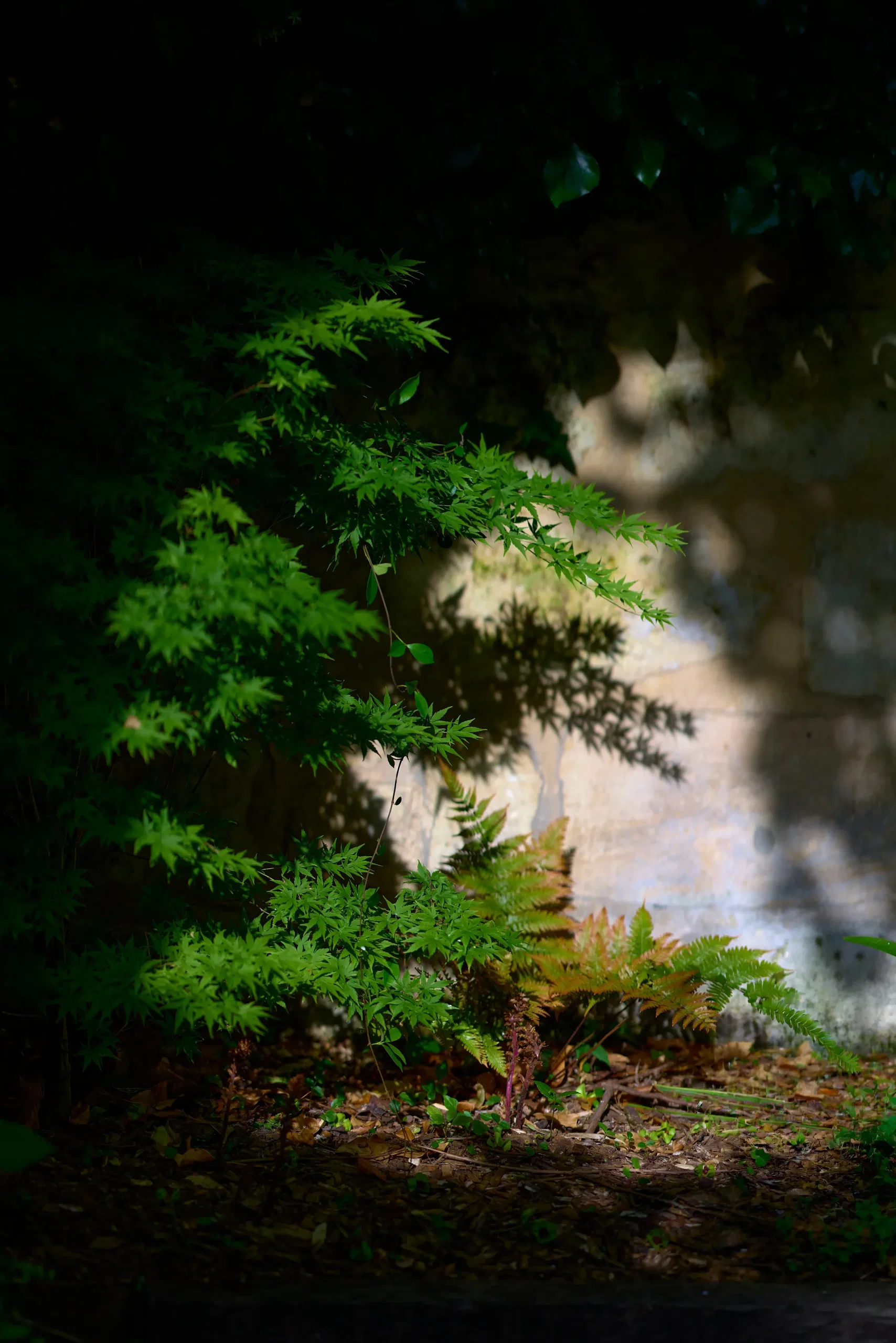 Vin & Spiritueux - photographie 82