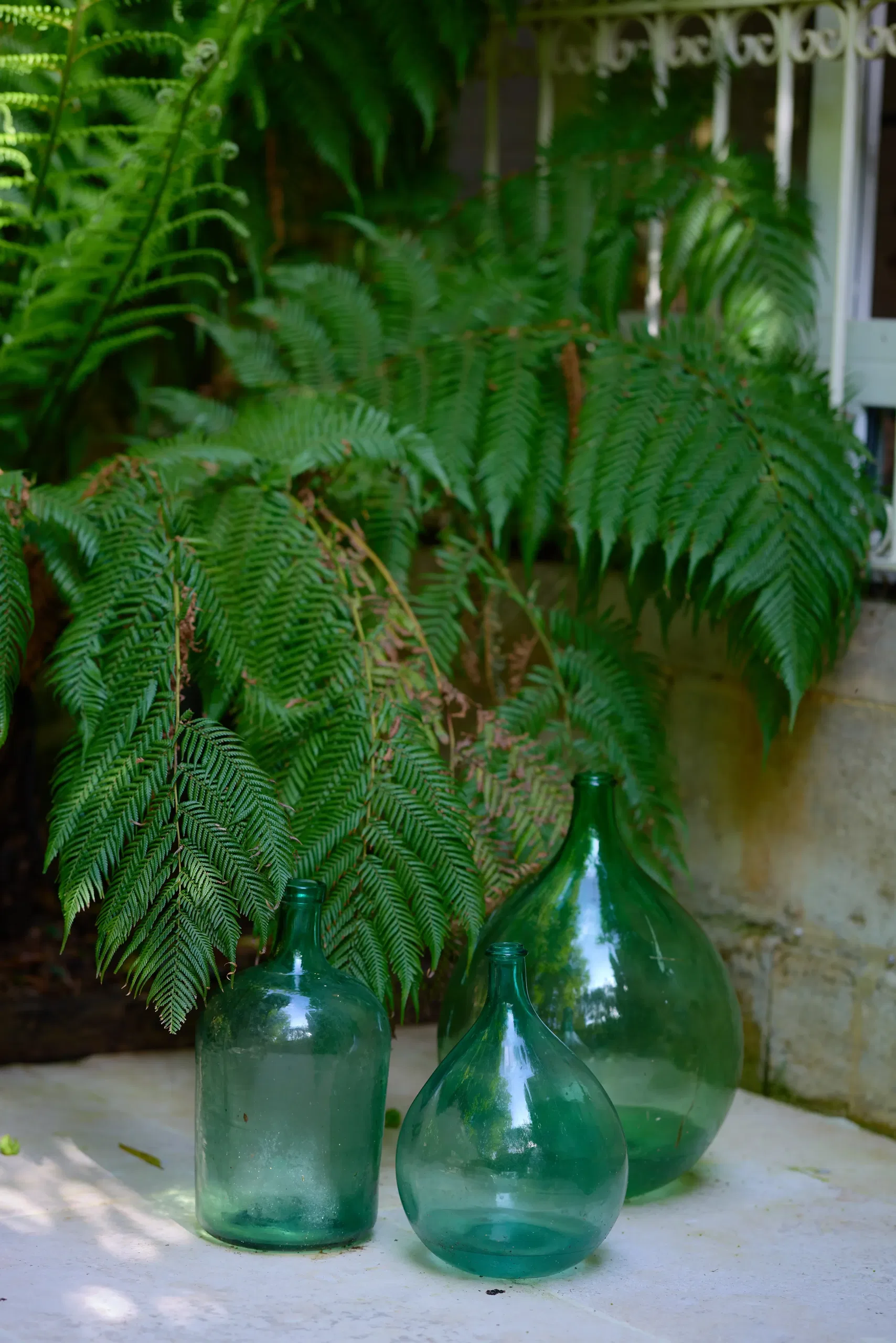 Vin & Spiritueux - photographie 54