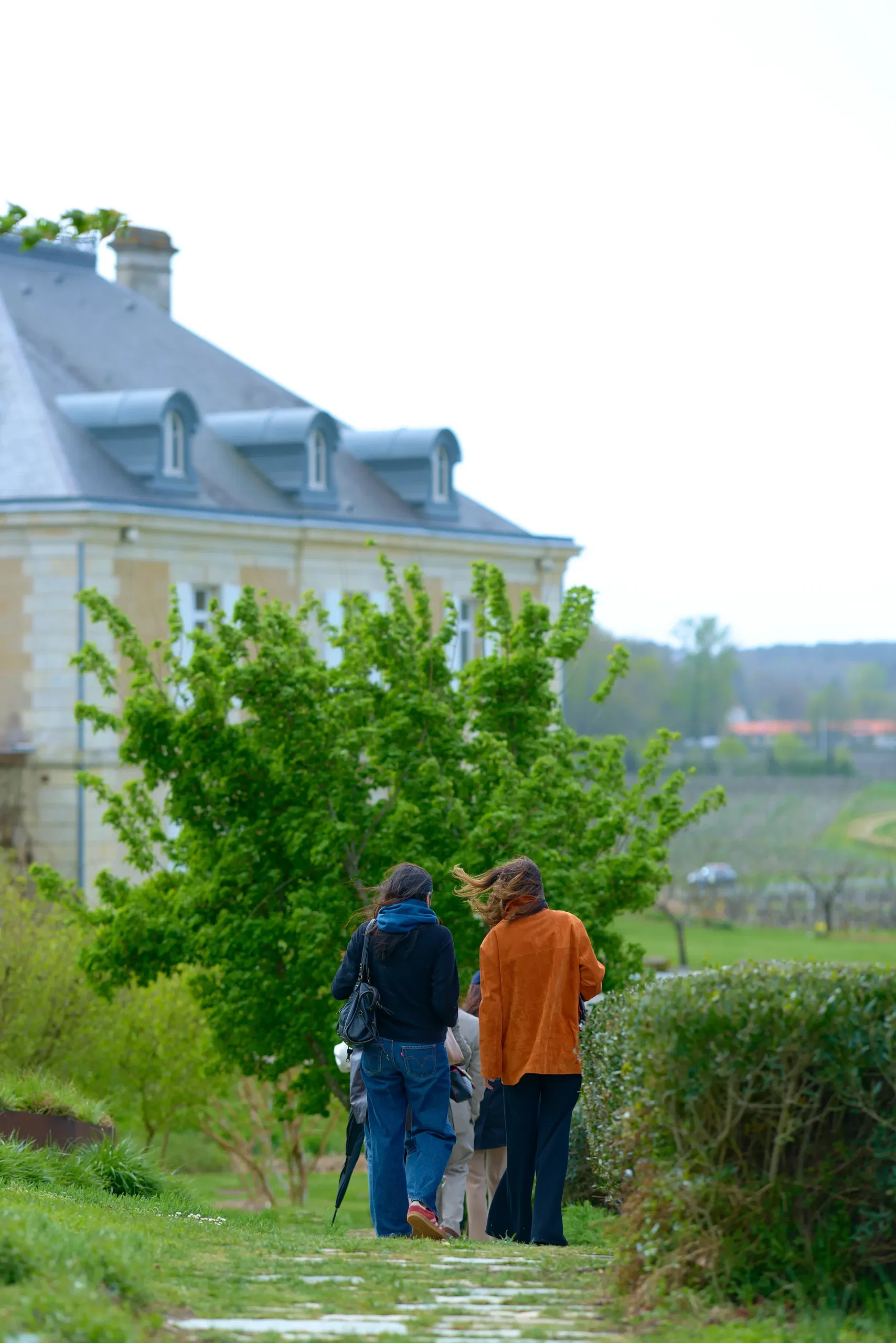 Vin & Spiritueux - photographie 104