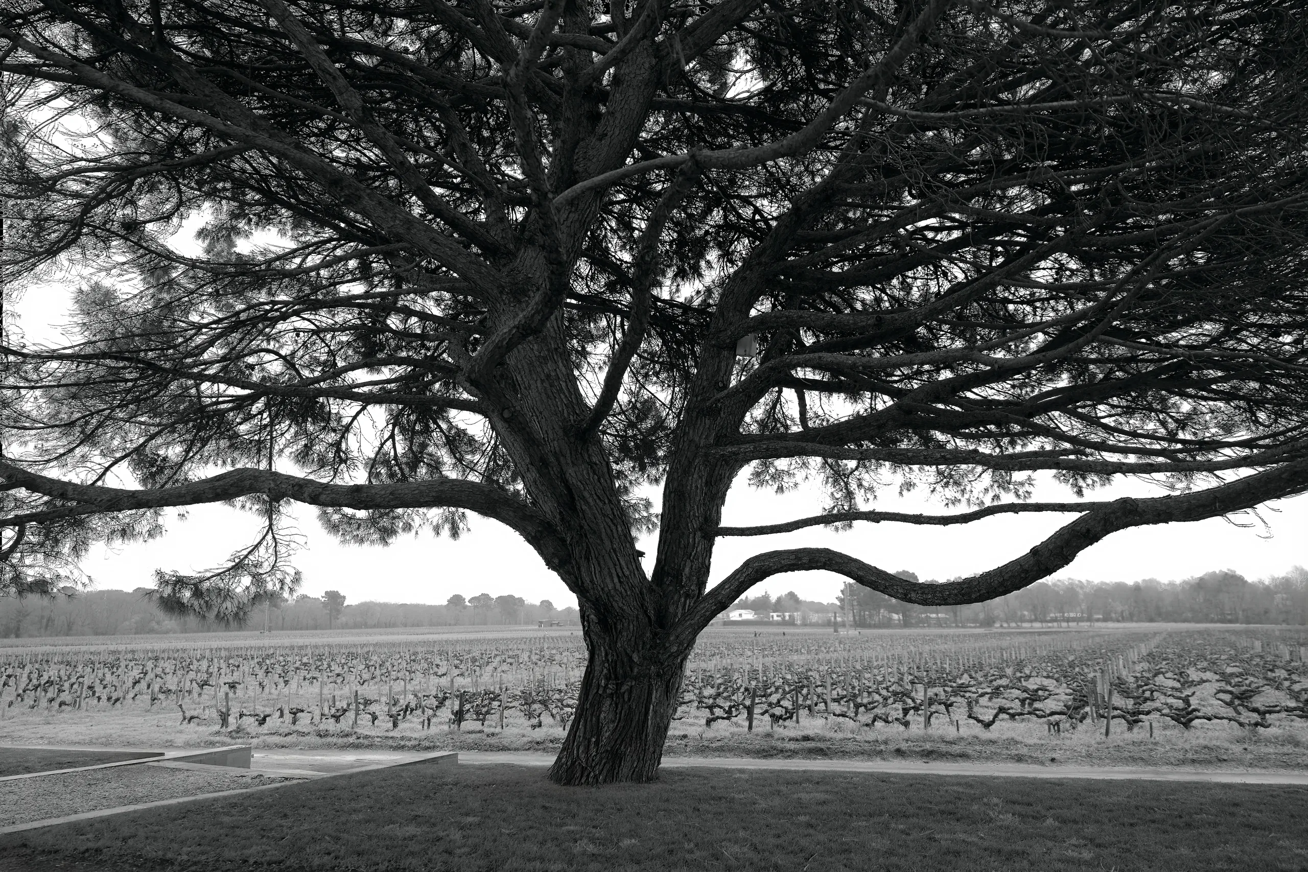 Vin & Spiritueux - photographie 106