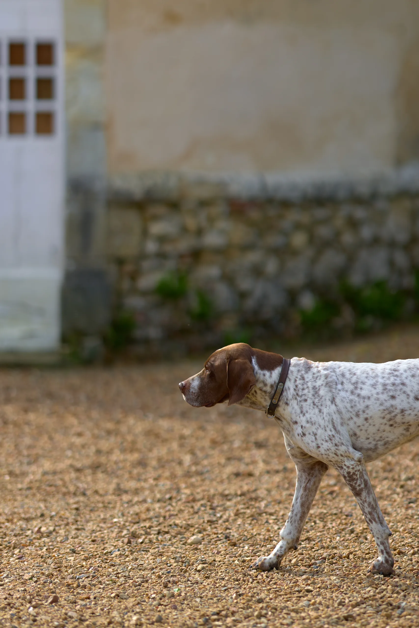 Pauline & Arthur - photographie 4