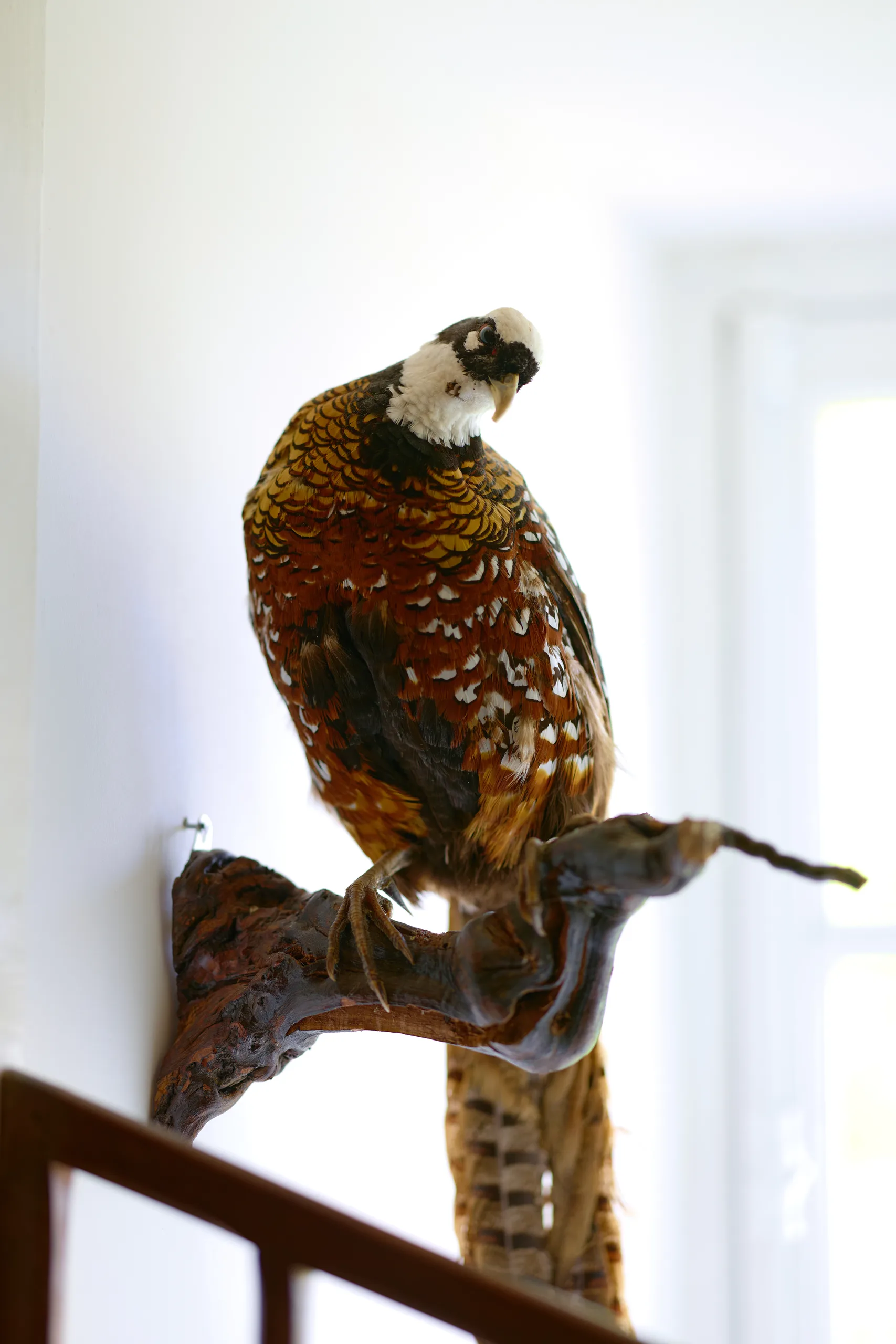 Pauline & Arthur - photographie 9