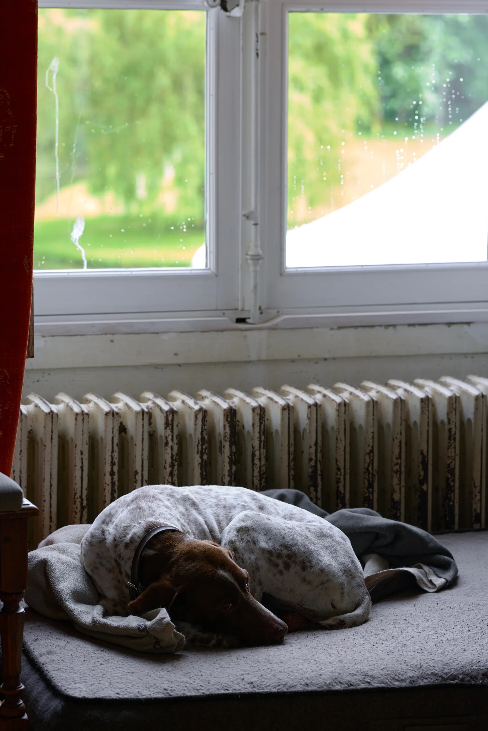Pauline & Arthur - photographie 127