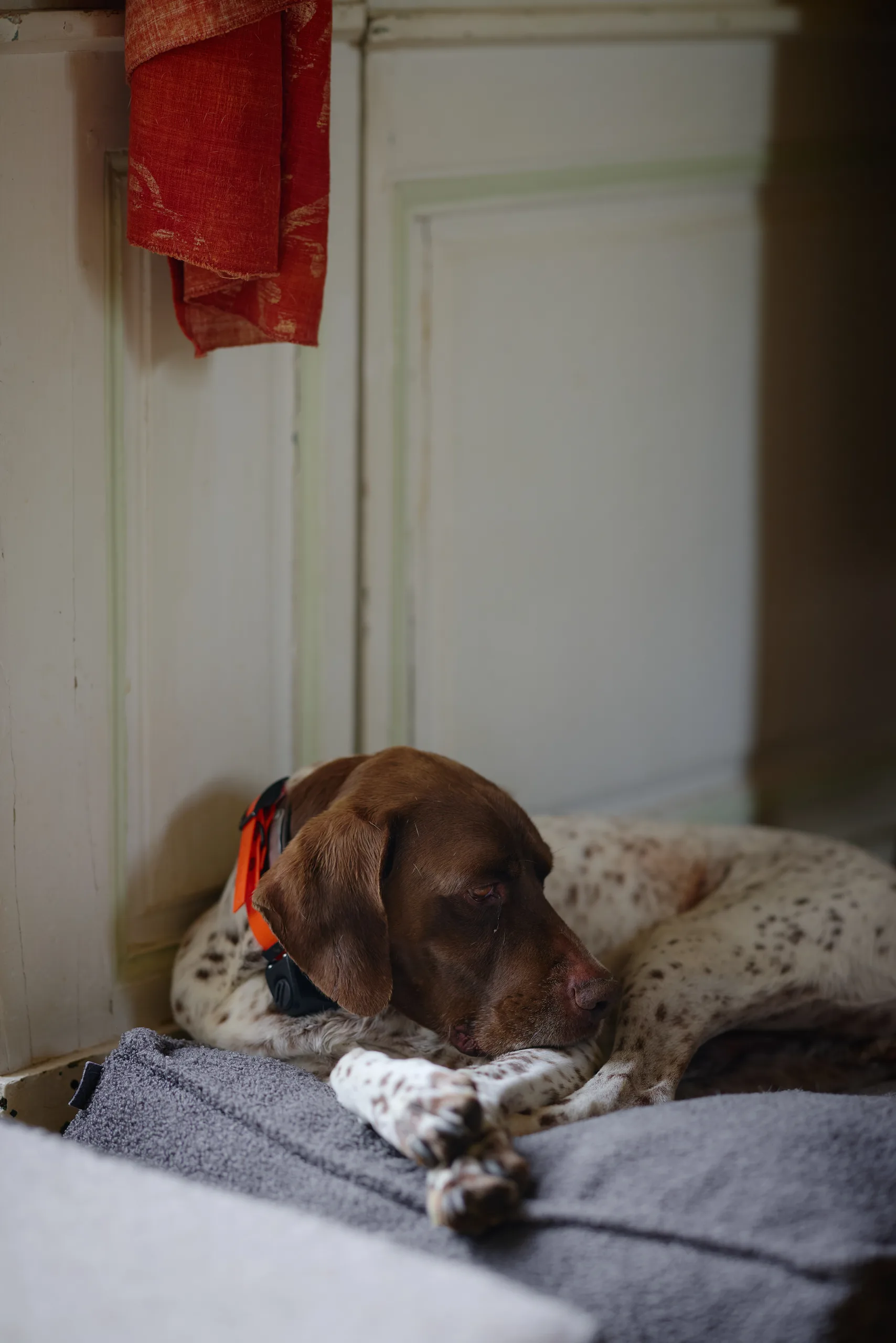 Pauline & Arthur - photographie 128