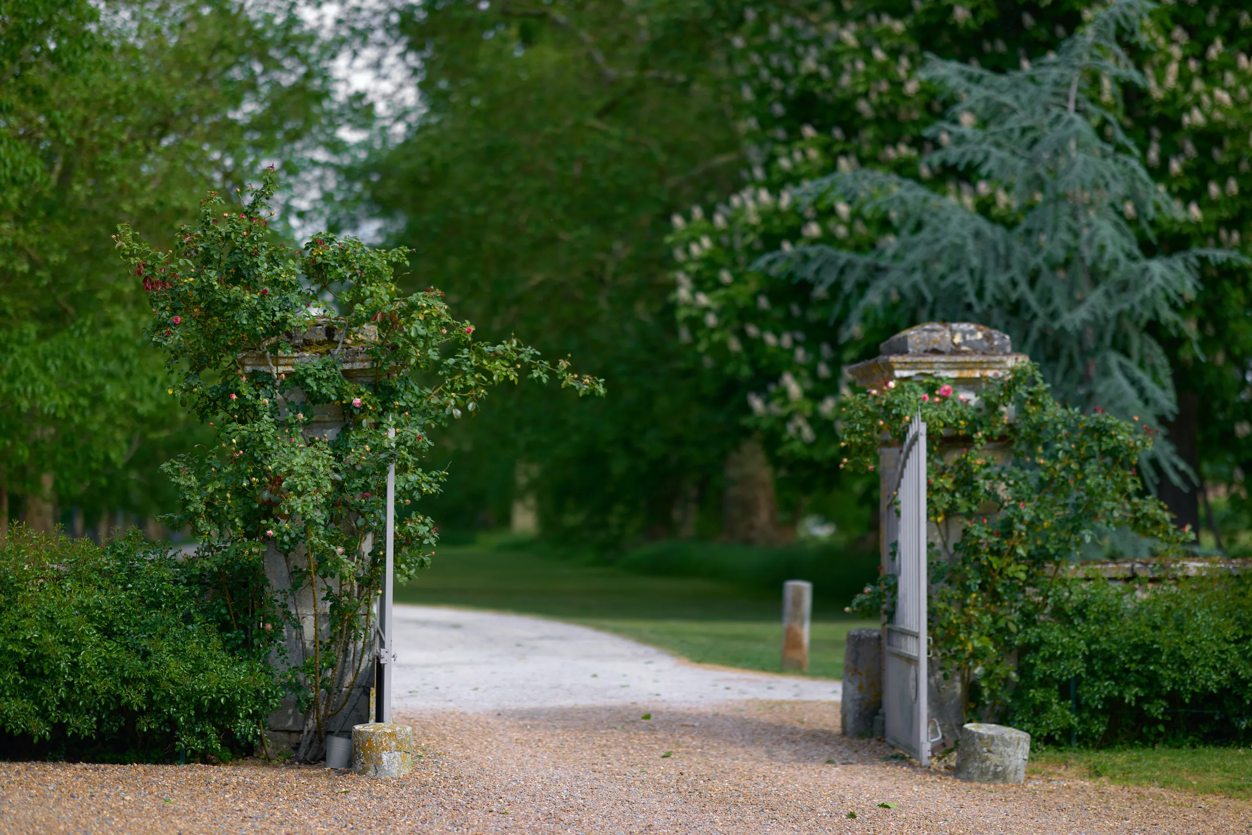 Pauline & Arthur - photographie 2